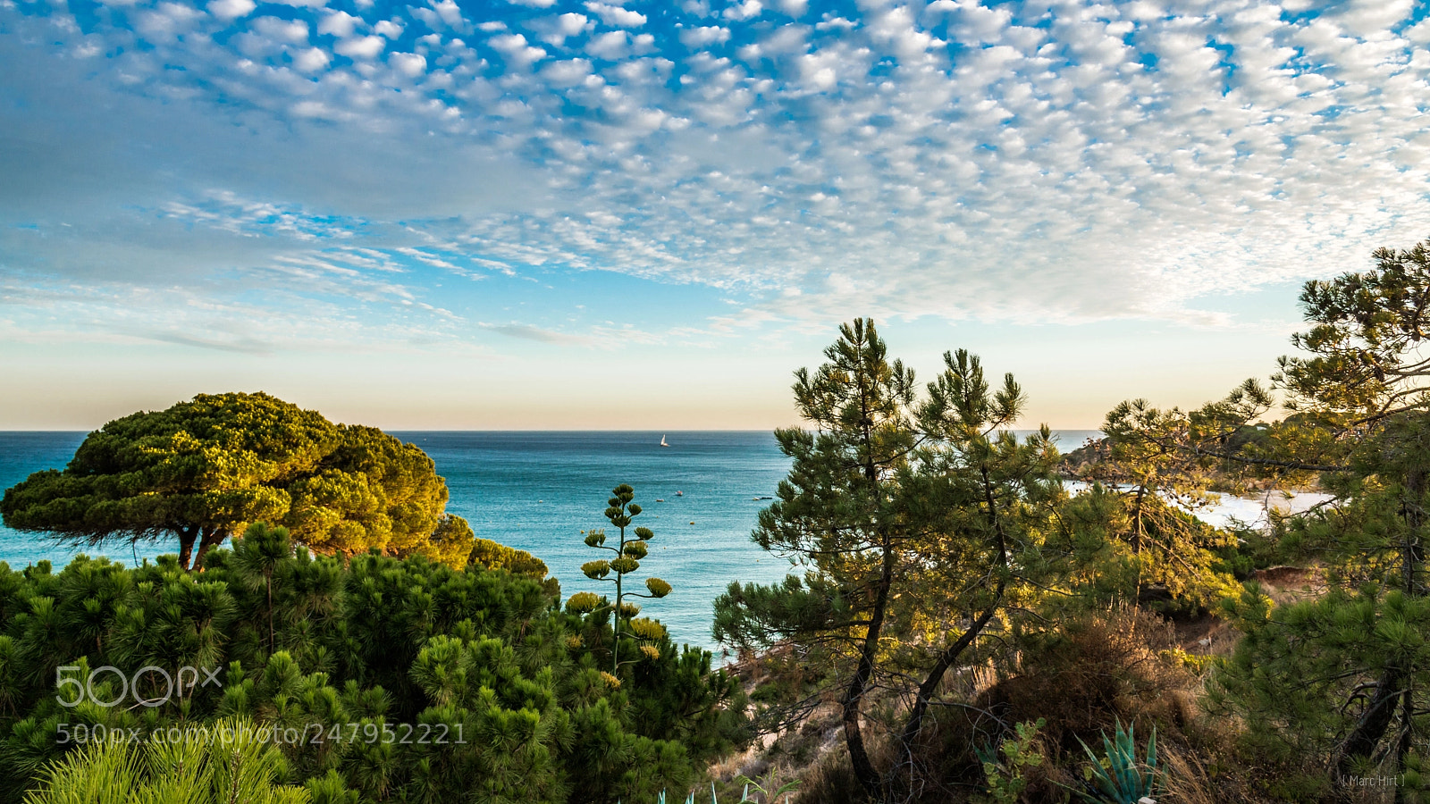 Nikon D800 sample photo. Portugal photography