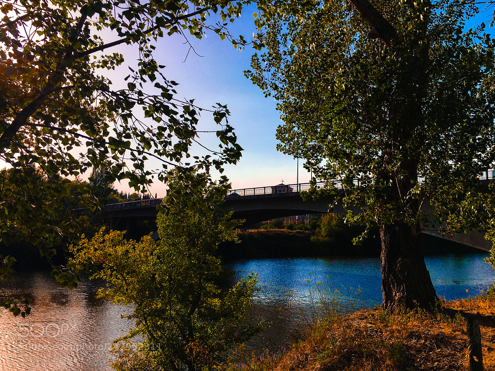Apple iPhone 6s Plus sample photo. Paseo por el pisuerga photography