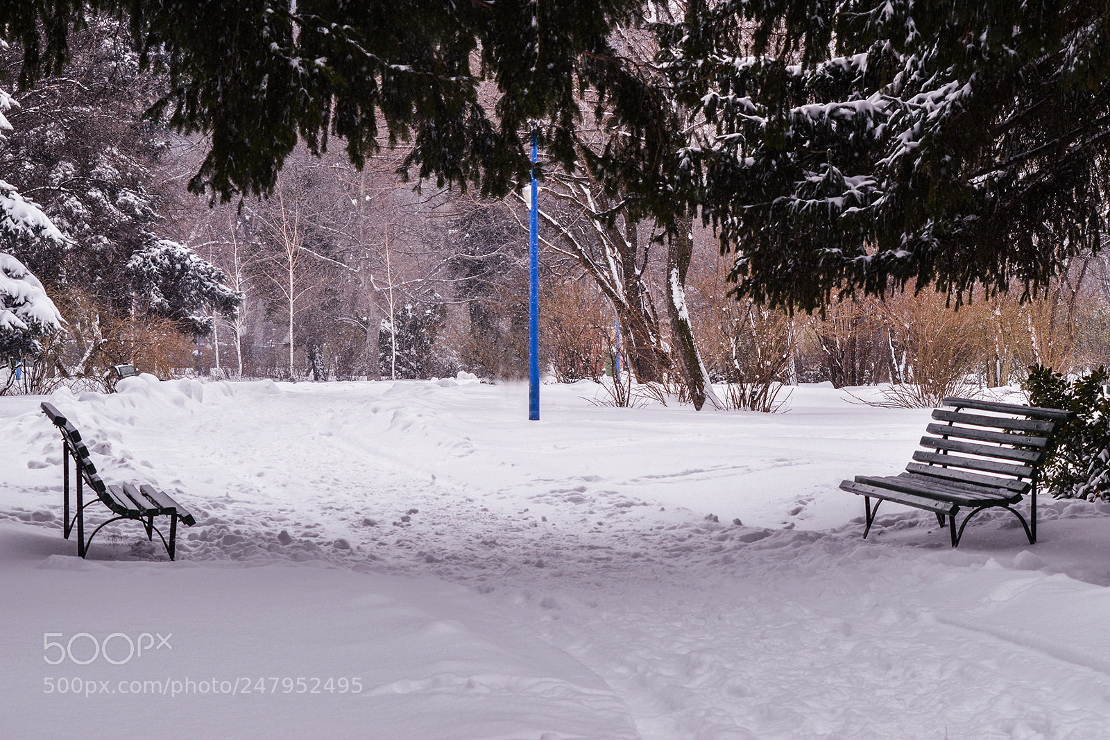 Nikon D3200 sample photo. Winter photography