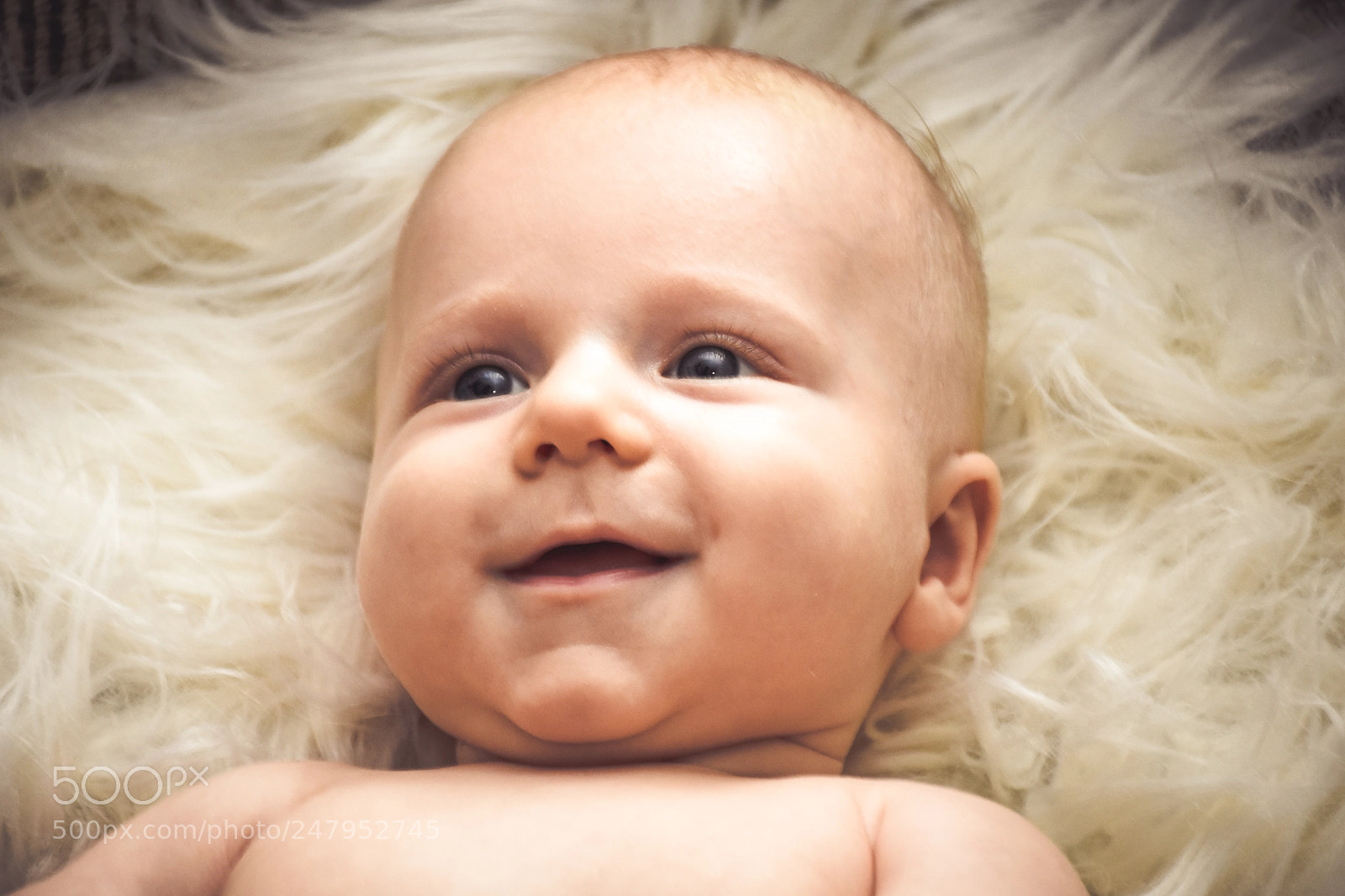 Nikon D3400 sample photo. Newborn photography