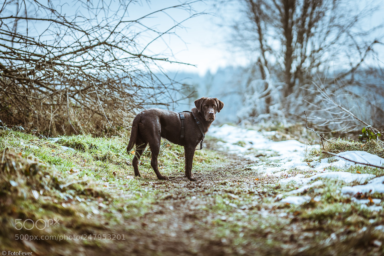Sony a7R III sample photo. Jef loving the outdoors photography
