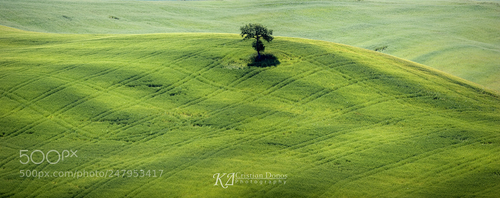 Canon EOS 20D sample photo. Val d'orcia photography