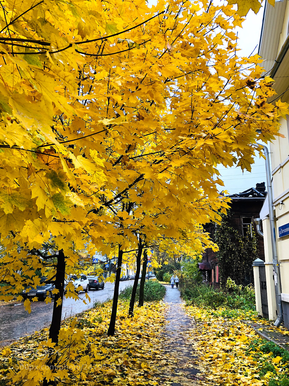 Apple iPhone 8 Plus sample photo. Autumn photography