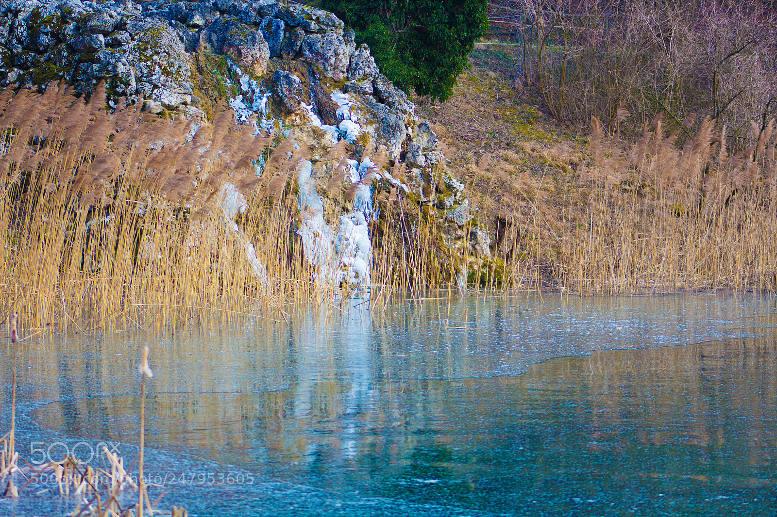 Canon EOS 700D (EOS Rebel T5i / EOS Kiss X7i) sample photo. Water in the ermitage photography