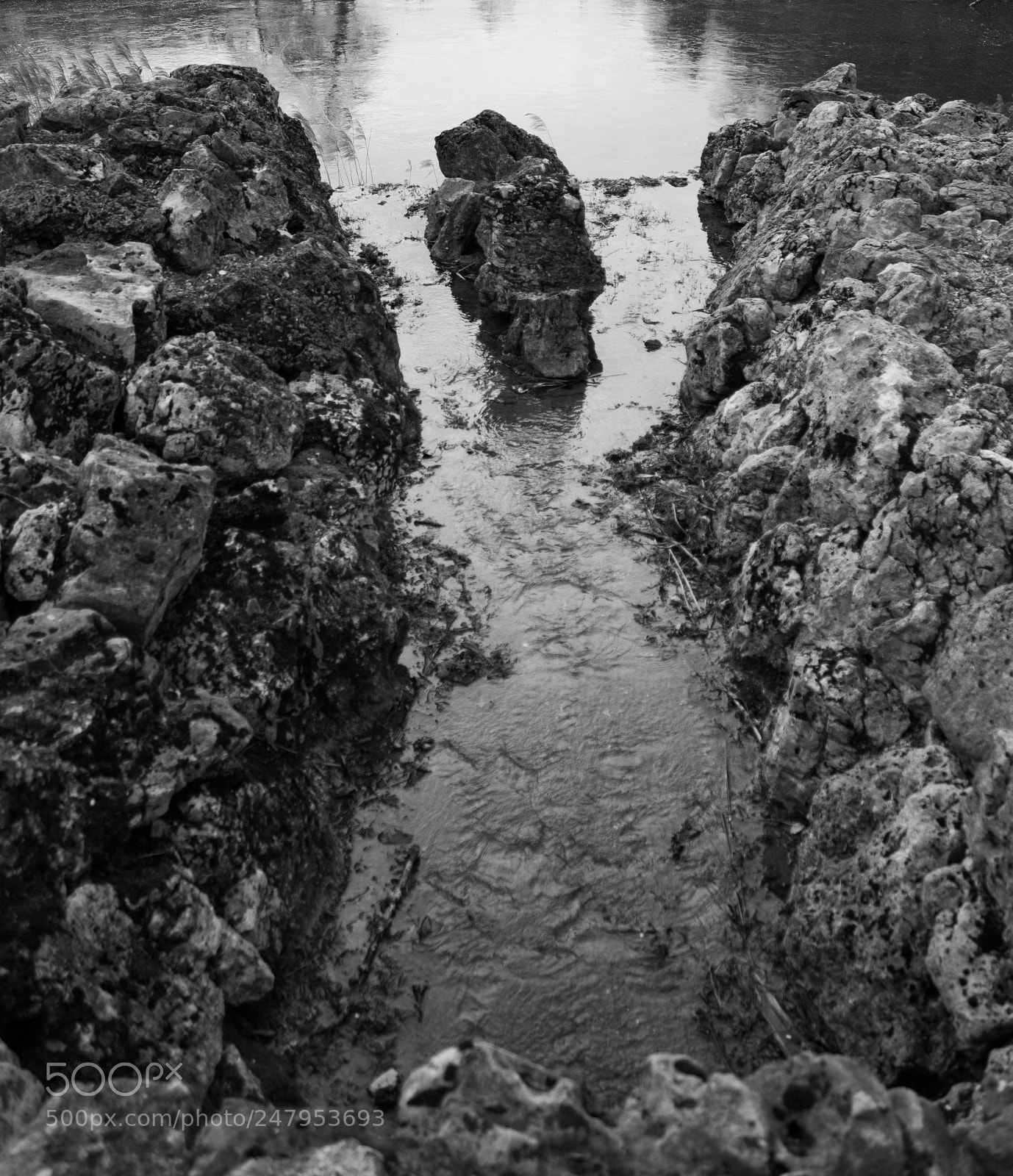 Canon EOS 700D (EOS Rebel T5i / EOS Kiss X7i) sample photo. Water in ermitage photography