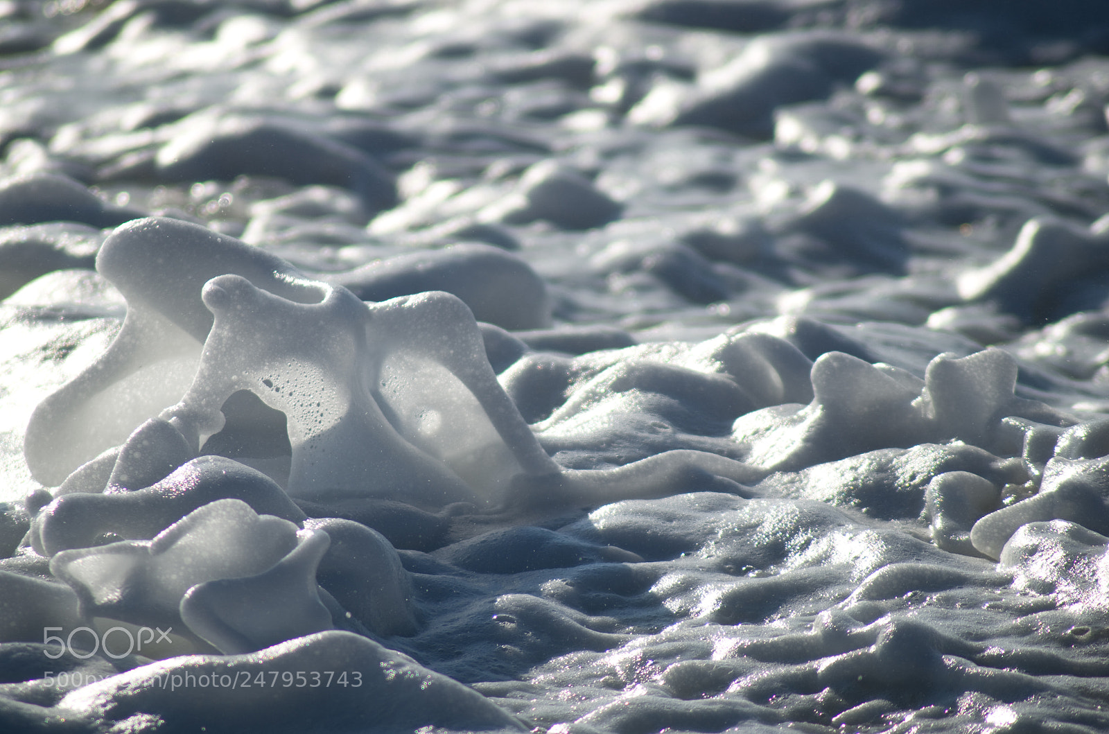 Pentax K-30 sample photo. Foam life photography