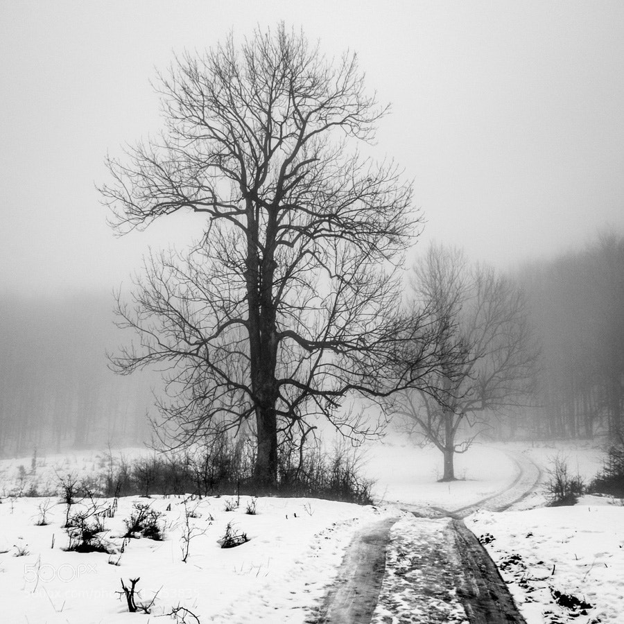 Pentax K-S2 sample photo. Road to desolation photography