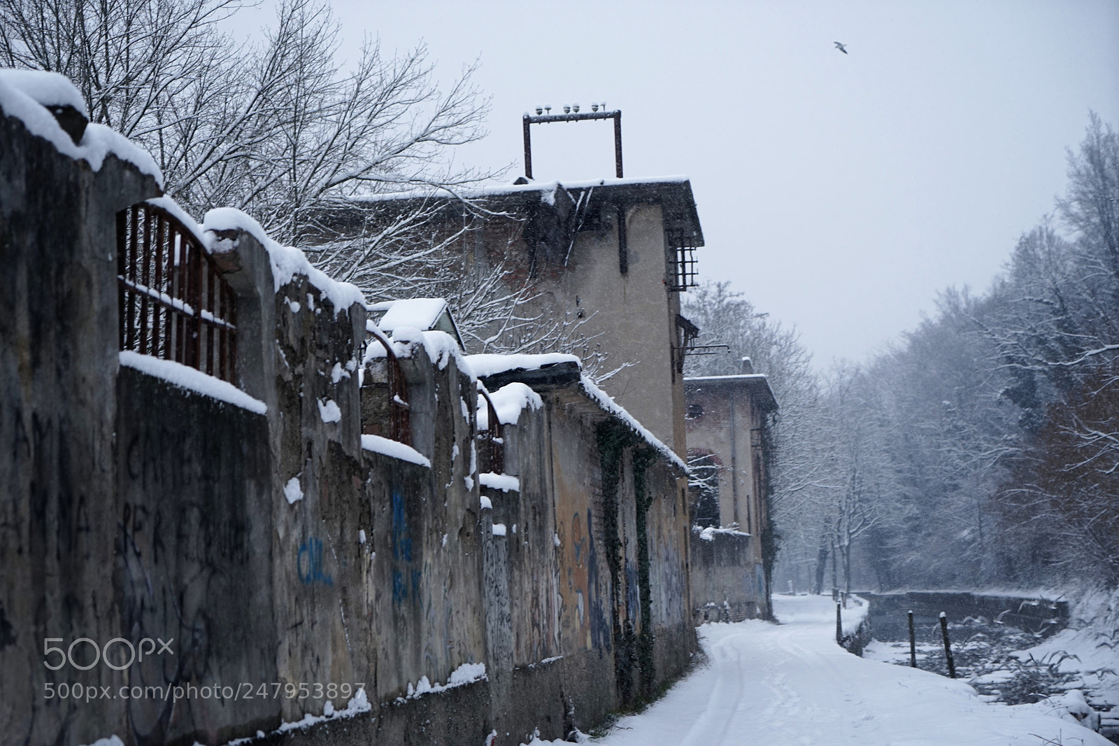 Sony a7 sample photo. Snow time photography