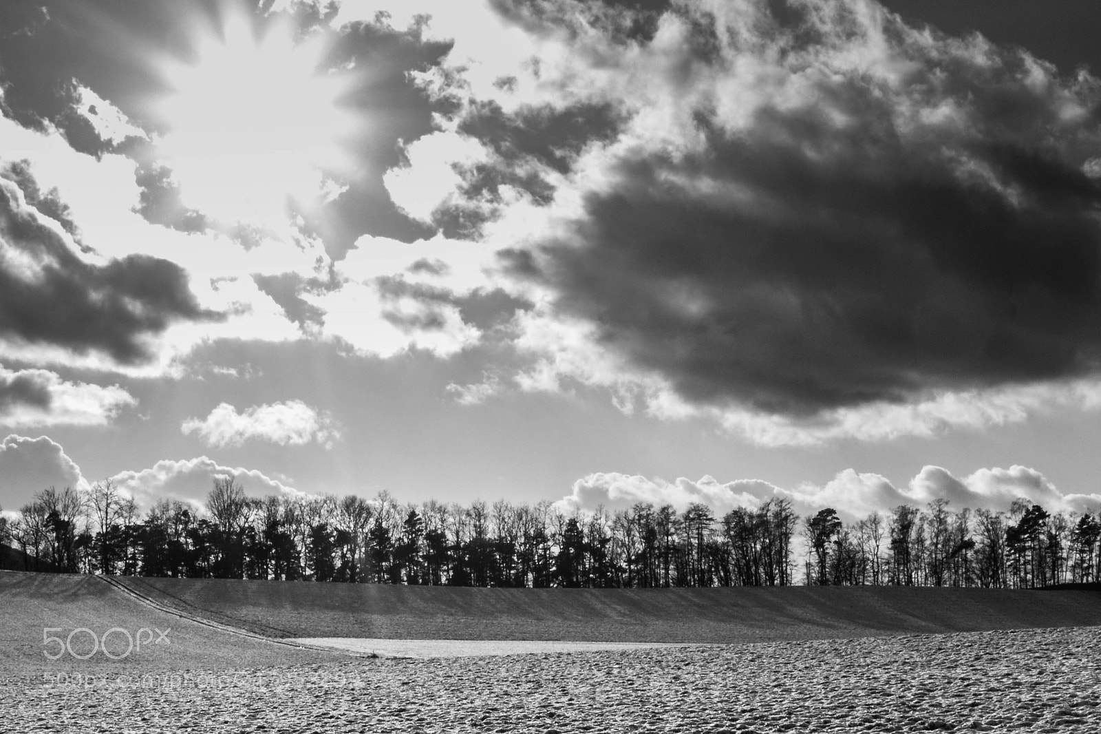 Canon EOS 550D (EOS Rebel T2i / EOS Kiss X4) sample photo. Sunny winterday photography