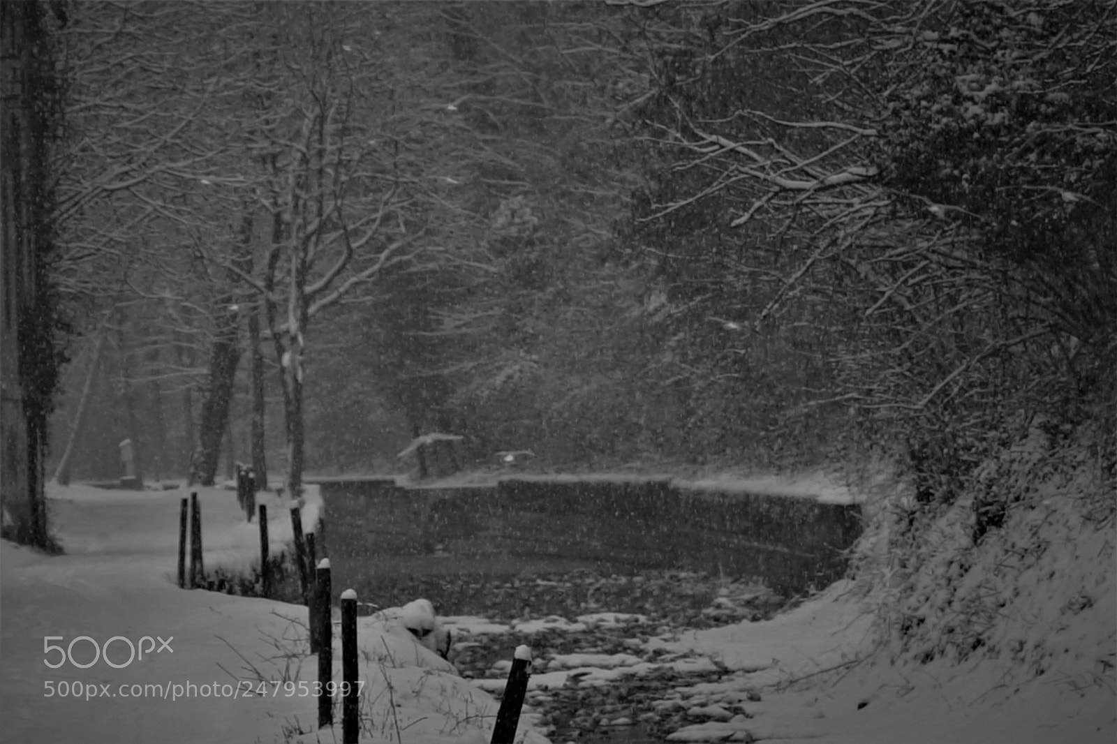 Sony a7 sample photo. Snow time photography