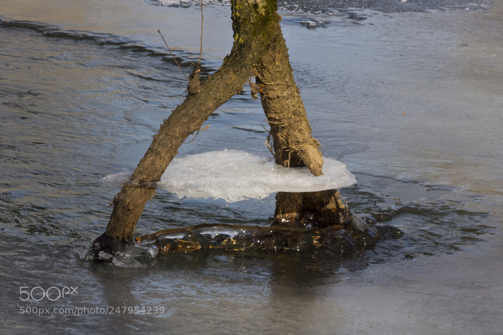 Canon EOS 60D sample photo. At the mill ditch photography