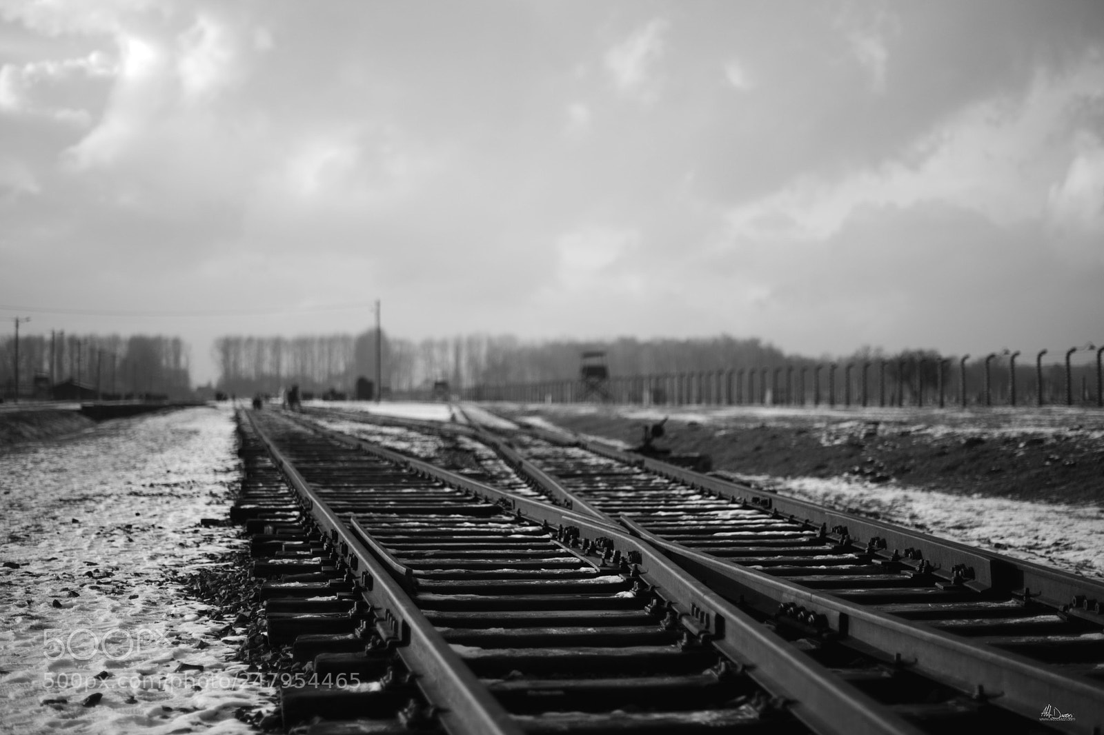 Nikon D810 sample photo. Birkenau photography