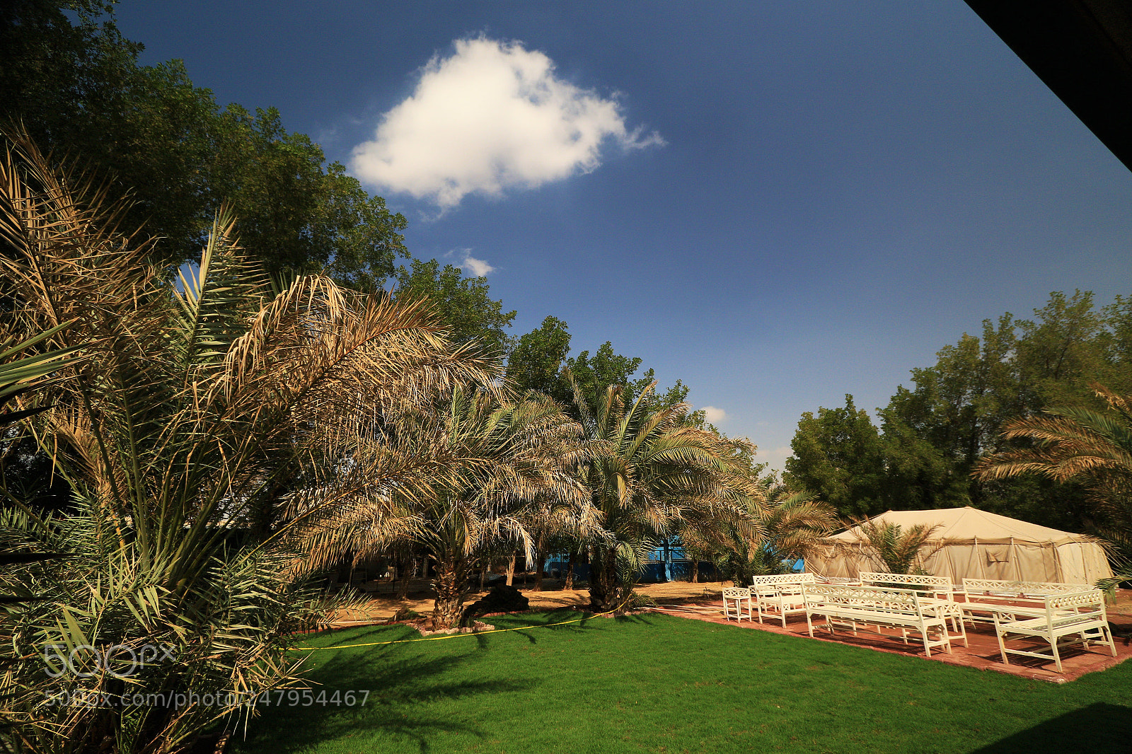 Canon EOS 7D Mark II sample photo. Untitled photography