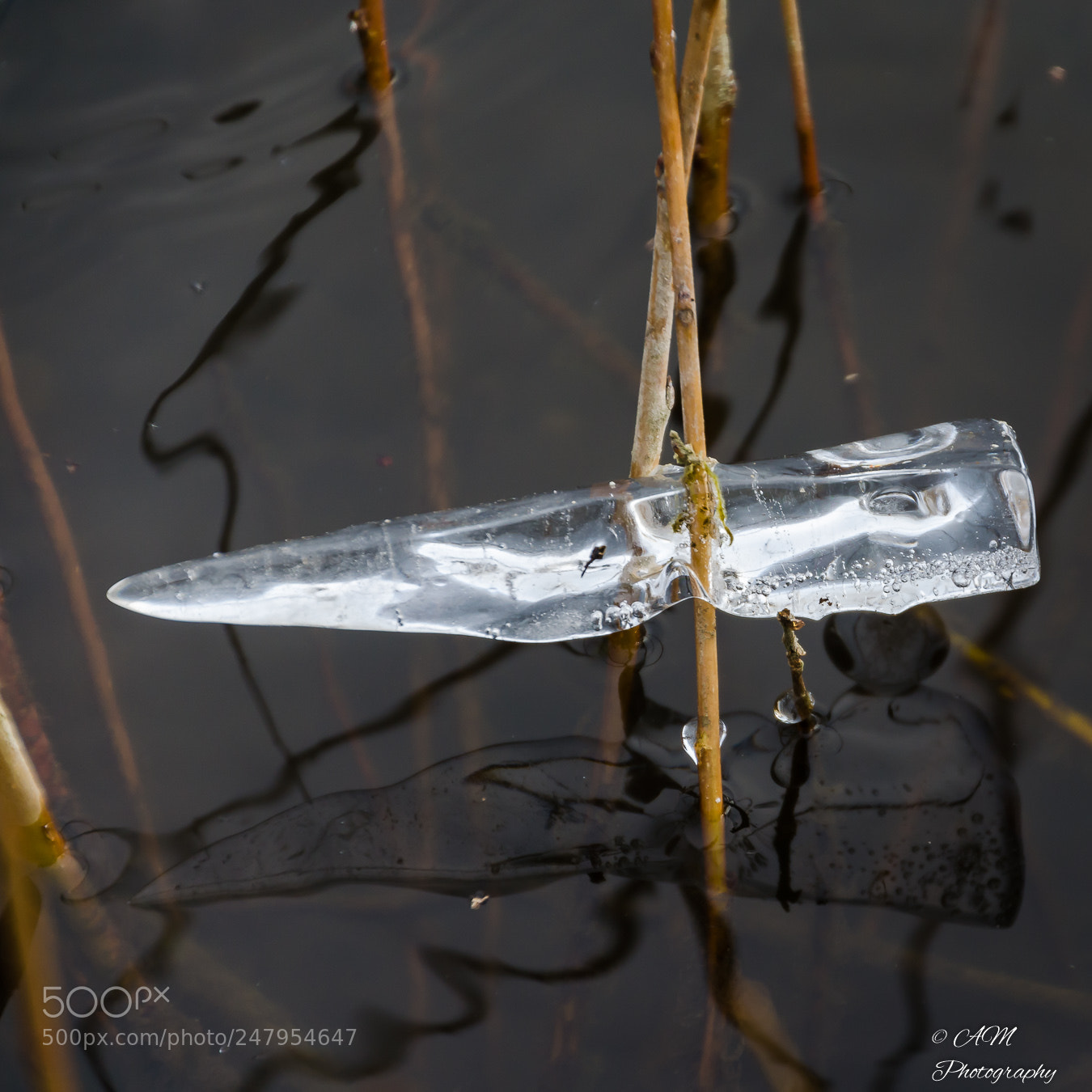 Nikon D5100 sample photo. Eiszapfen photography