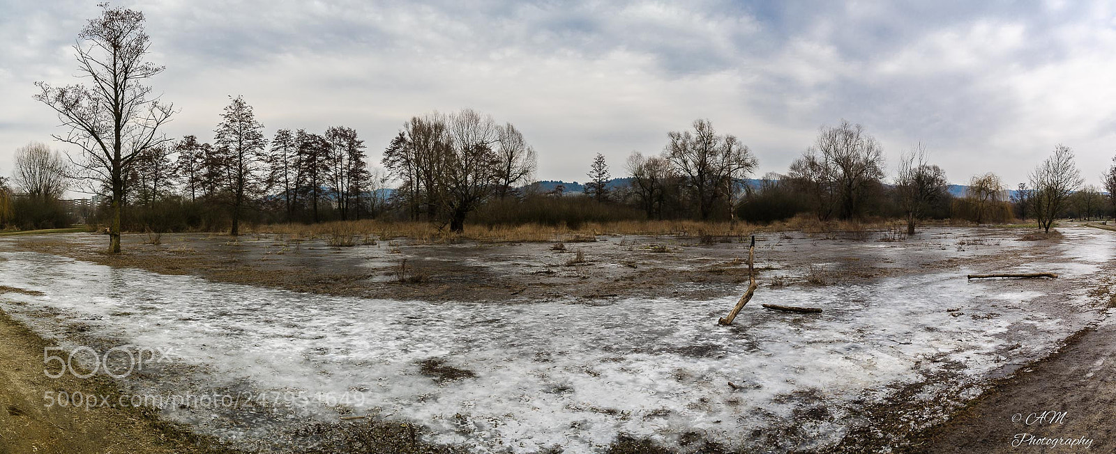Nikon D5100 sample photo. Winter photography