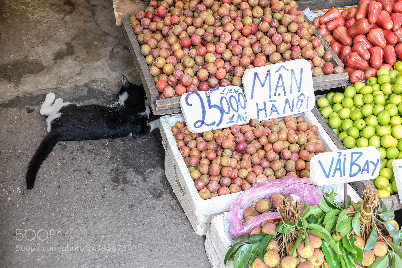 Fujifilm X-T10 sample photo. Ho chi minh, vietnam photography
