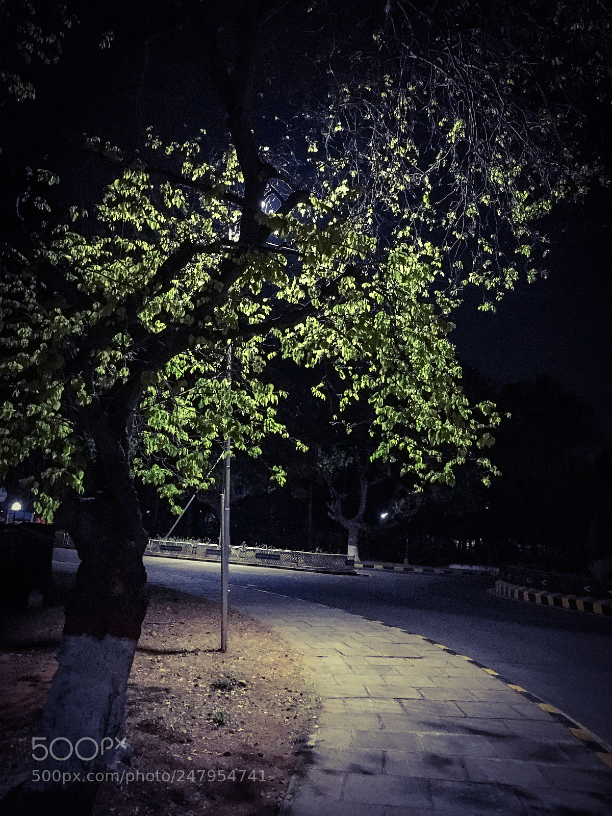 Apple iPhone SE sample photo. Street light photography
