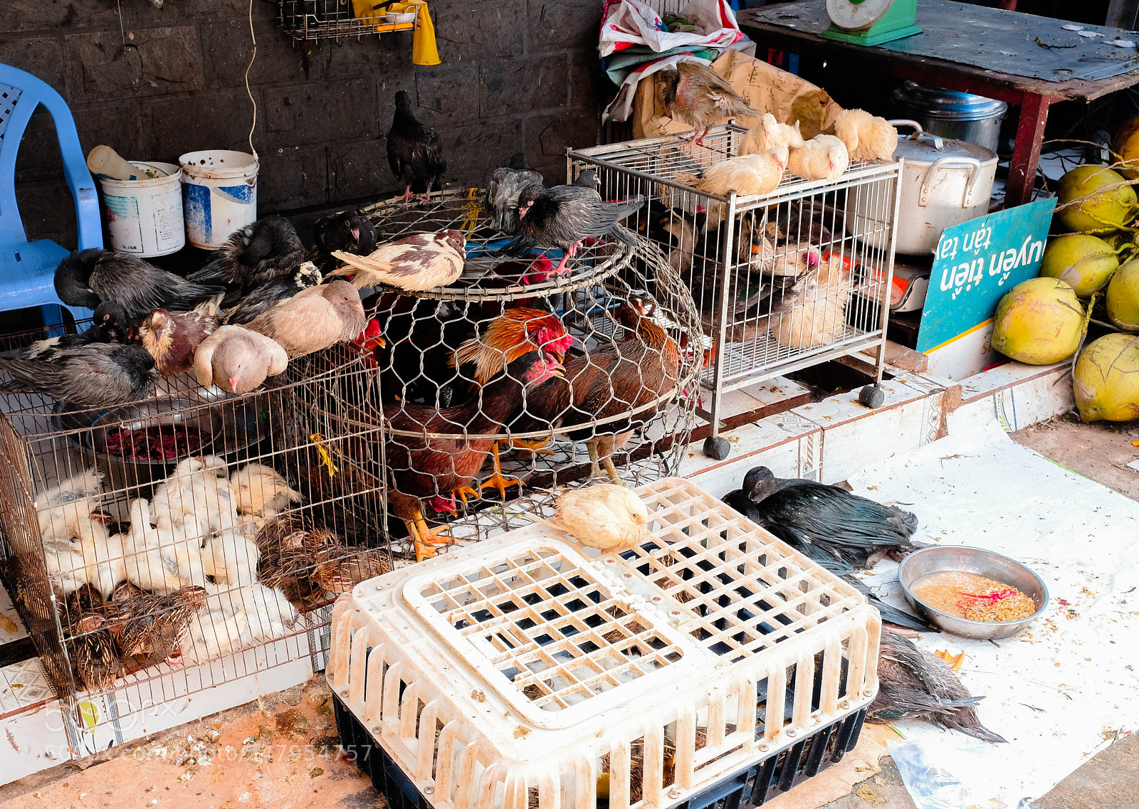 Fujifilm X-T10 sample photo. Ho chi minh, vietnam photography