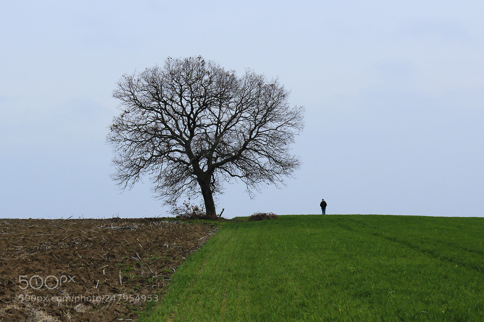 Canon EOS 600D (Rebel EOS T3i / EOS Kiss X5) sample photo. Yalnız adam... photography