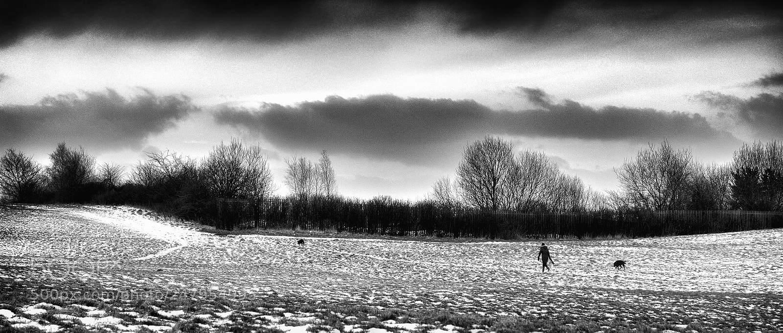Fujifilm X-T20 sample photo. Winter evening photography