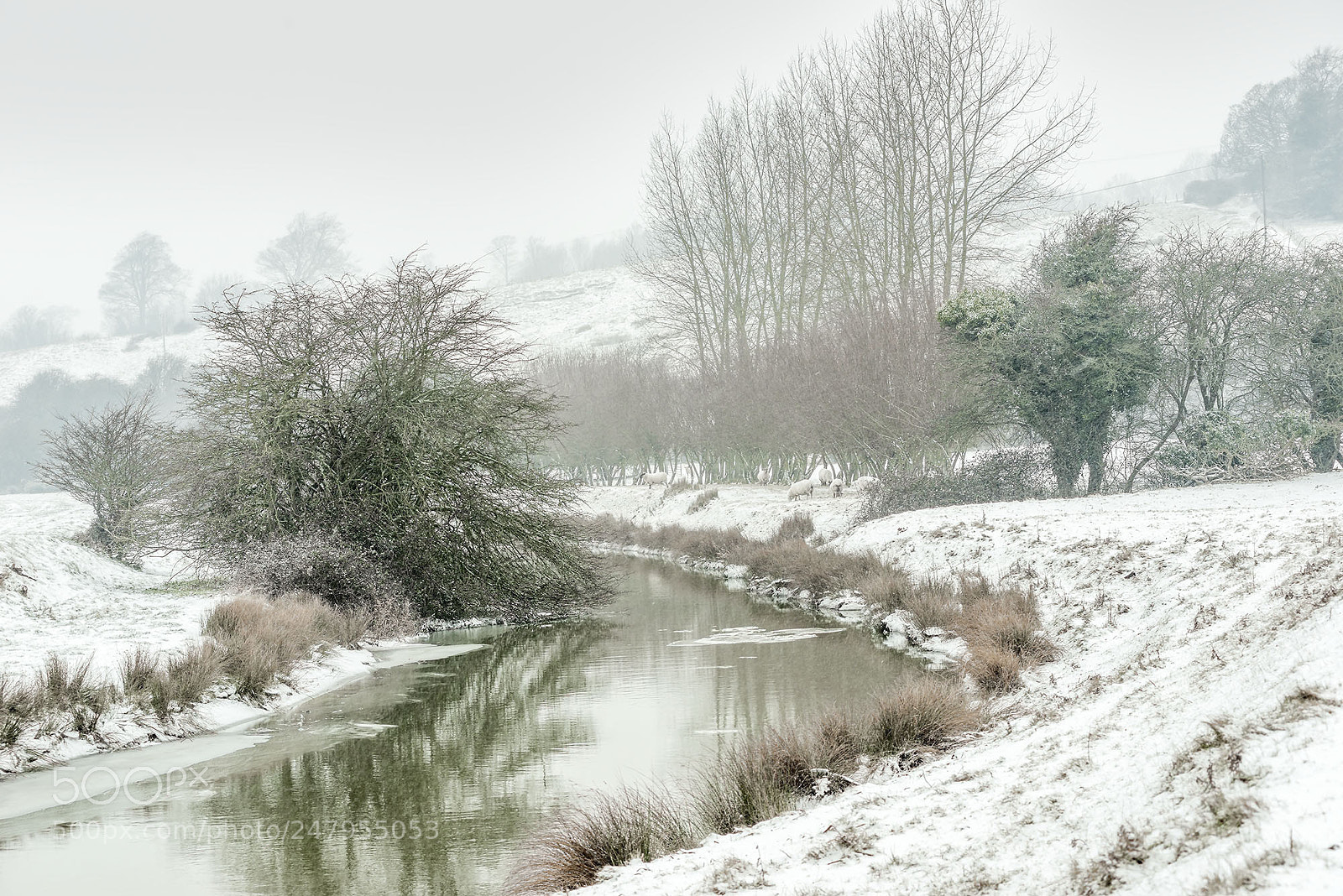 Nikon D800E sample photo. The tillingham in the photography