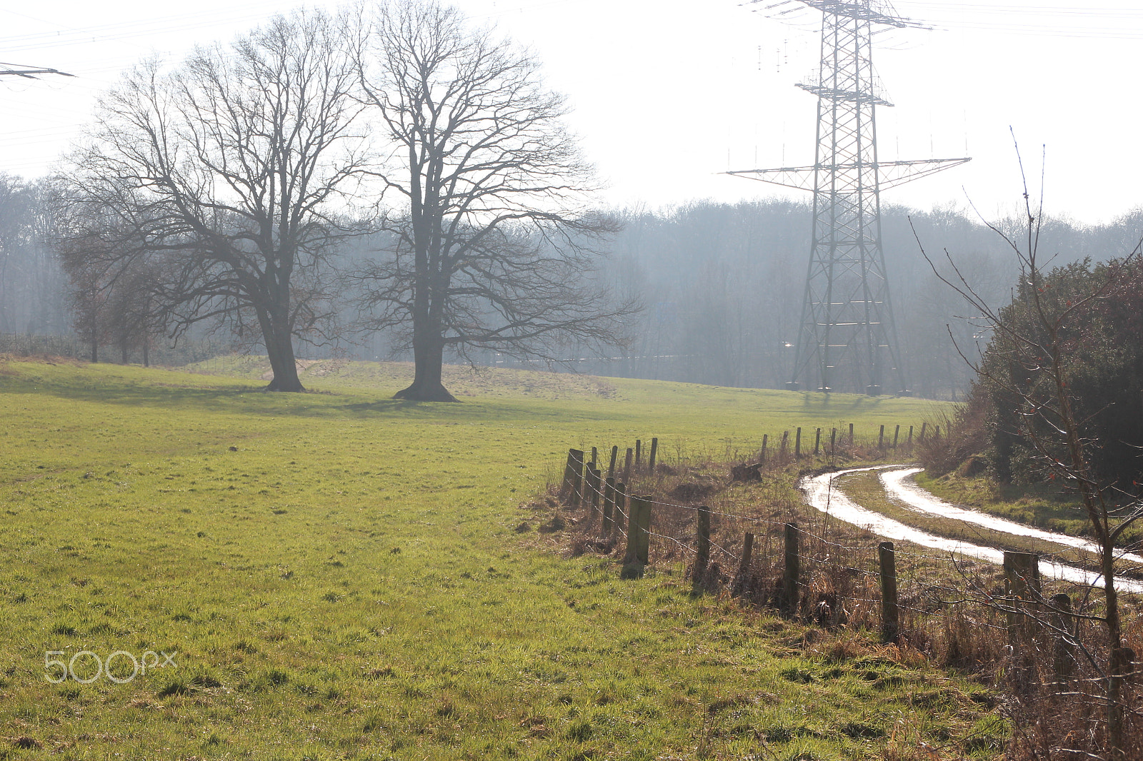 Canon EOS 600D (Rebel EOS T3i / EOS Kiss X5) sample photo. Weg im gegenlicht photography