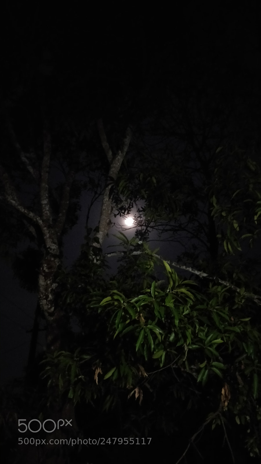 OnePlus 5 sample photo. Good night photography