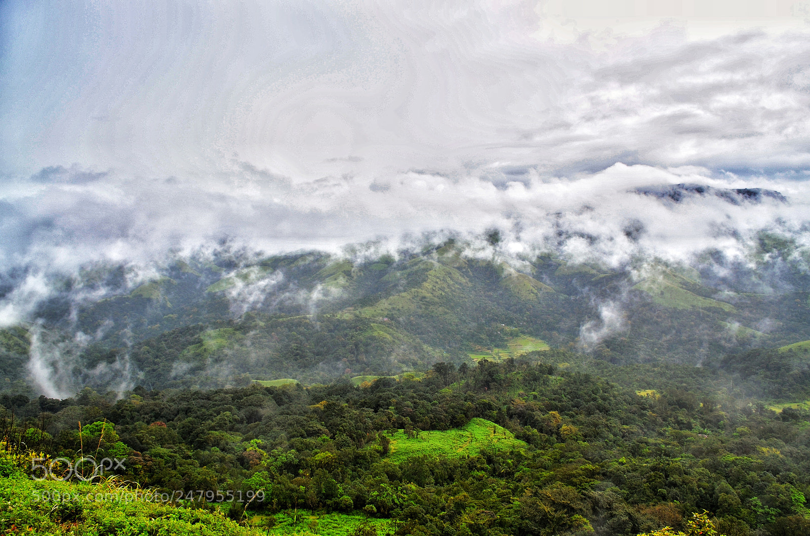 Nikon D5100 sample photo. Untitled photography