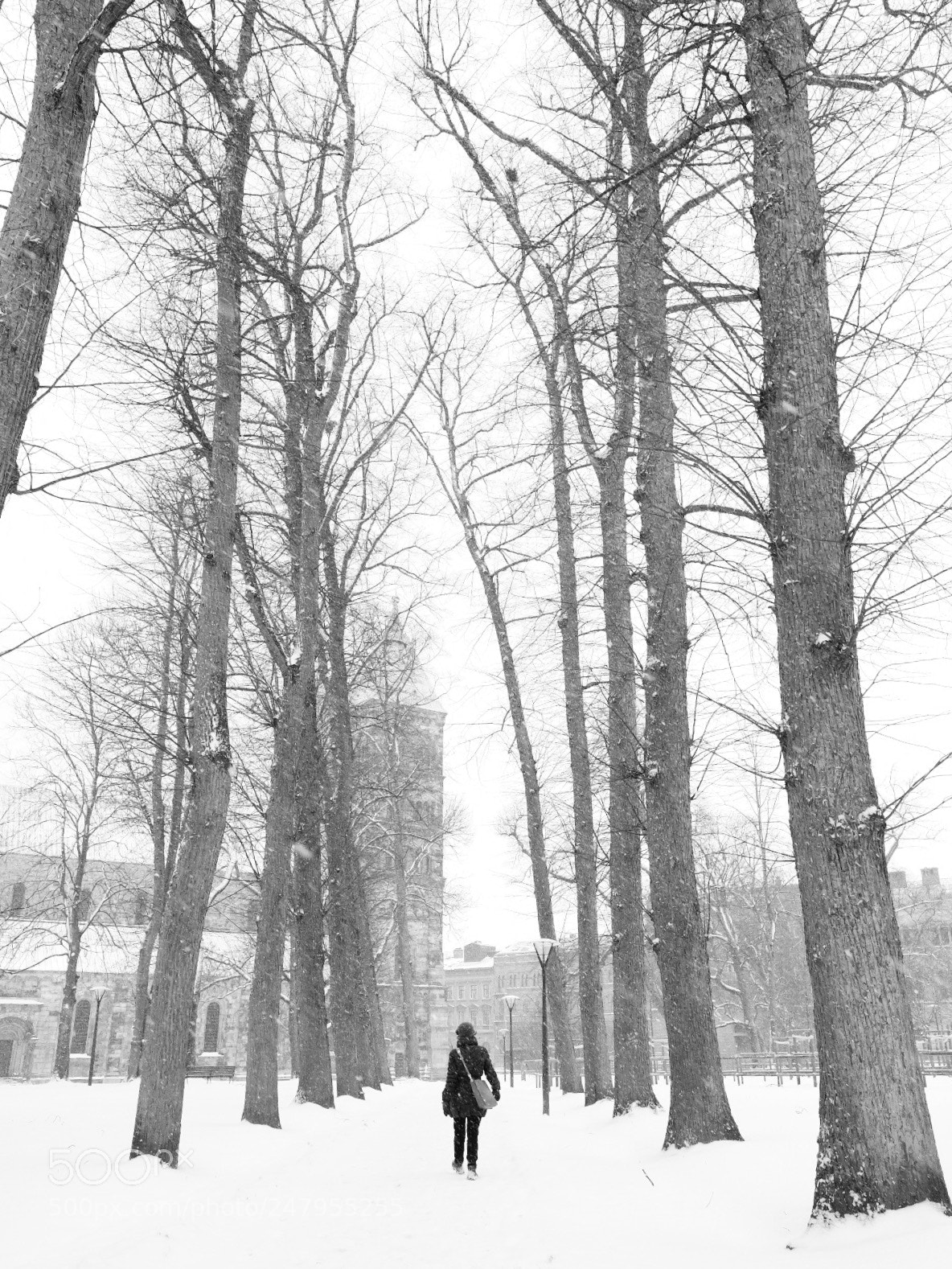 Fujifilm X-T2 sample photo. More snow photography