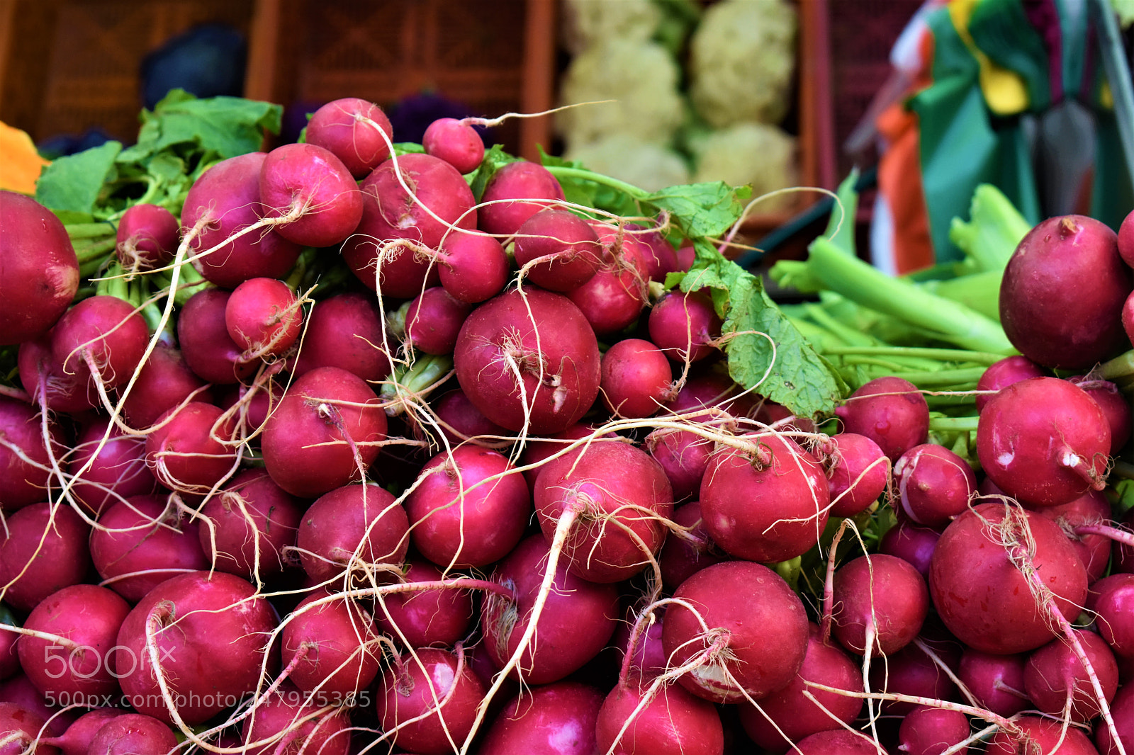 Nikon D3400 sample photo. Radish photography