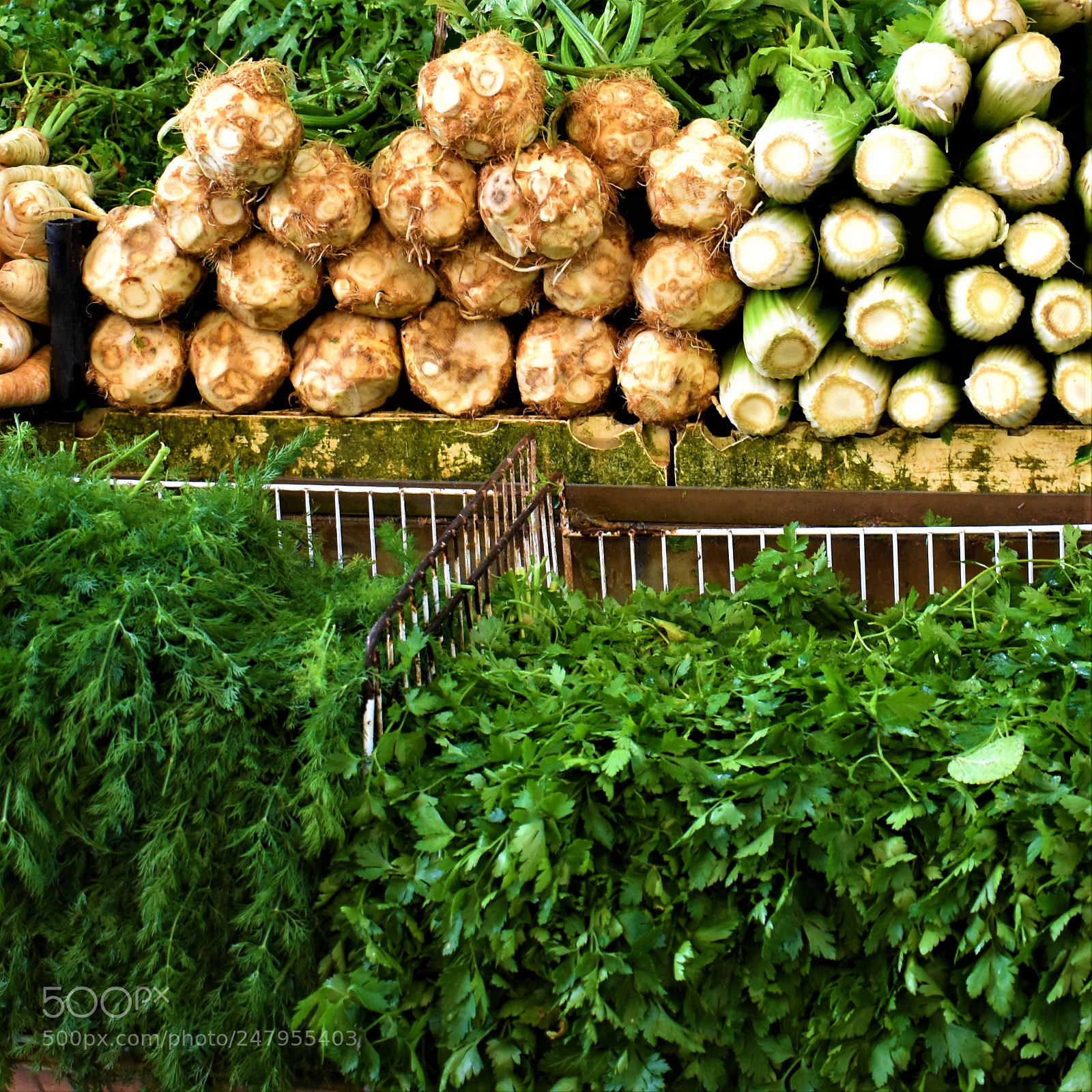 Nikon D3400 sample photo. Vegetables photography