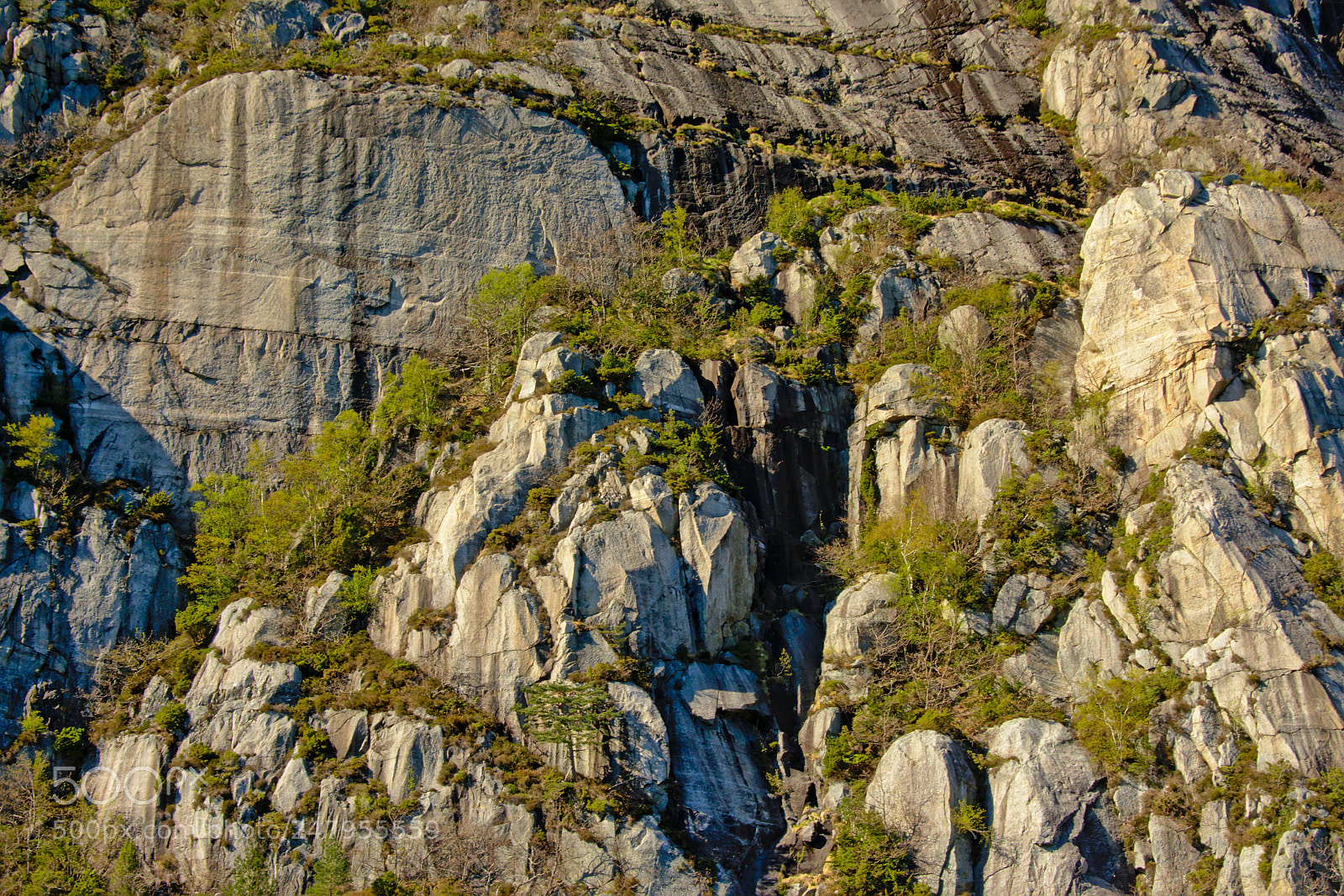 Nikon D5200 sample photo. Rock wall with trees photography