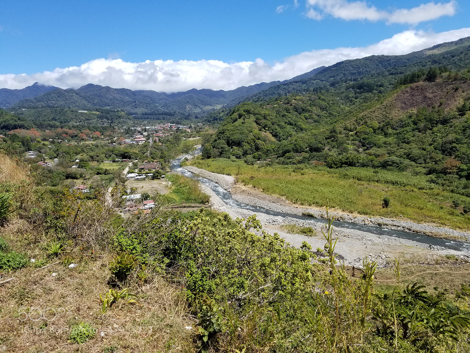 Samsung Galaxy S8+ sample photo. Untitled photography