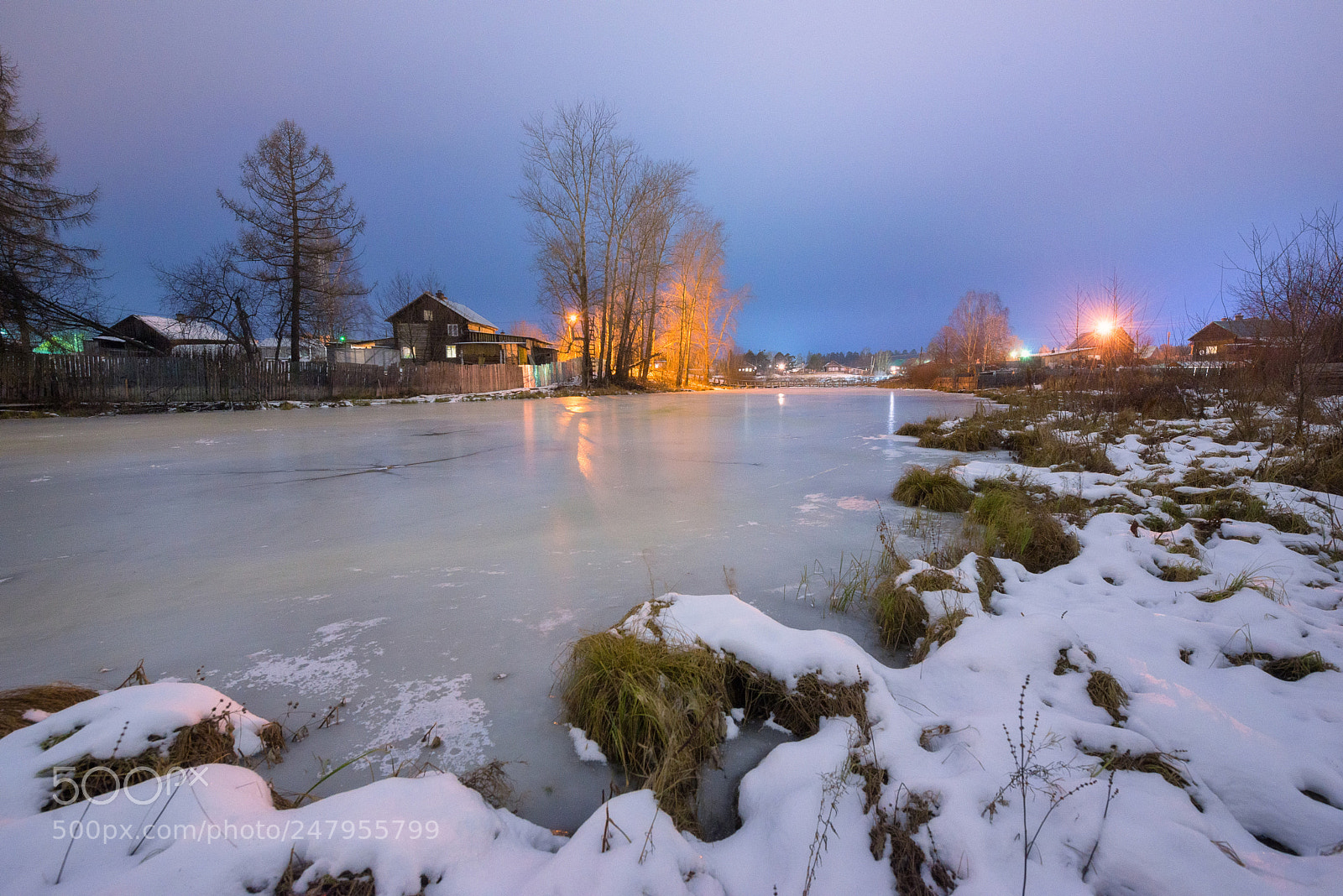 Nikon D610 sample photo. 861. on a frozen photography