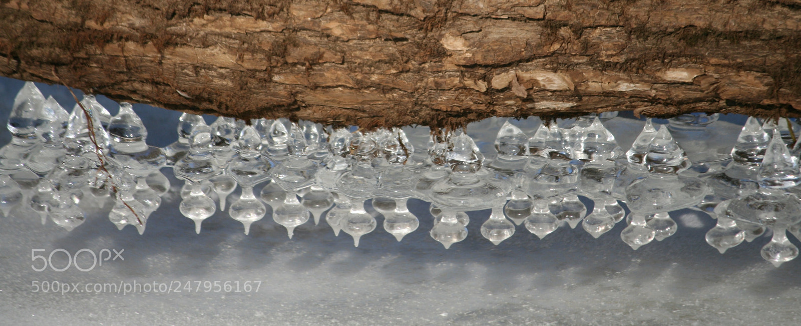 Canon EOS 350D (EOS Digital Rebel XT / EOS Kiss Digital N) sample photo. Icicle photography