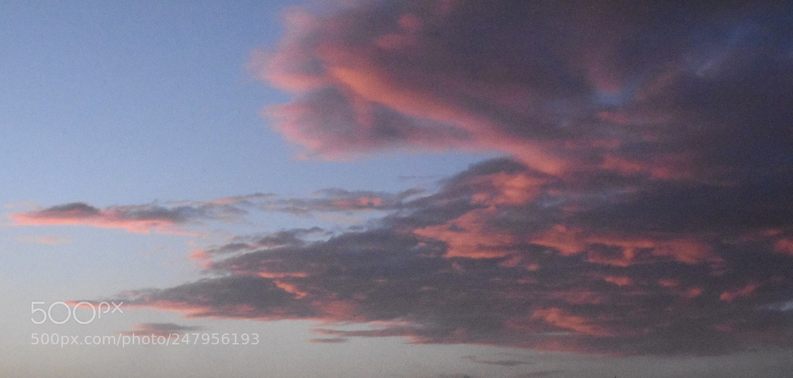 Nikon D7200 sample photo. Untitled photography