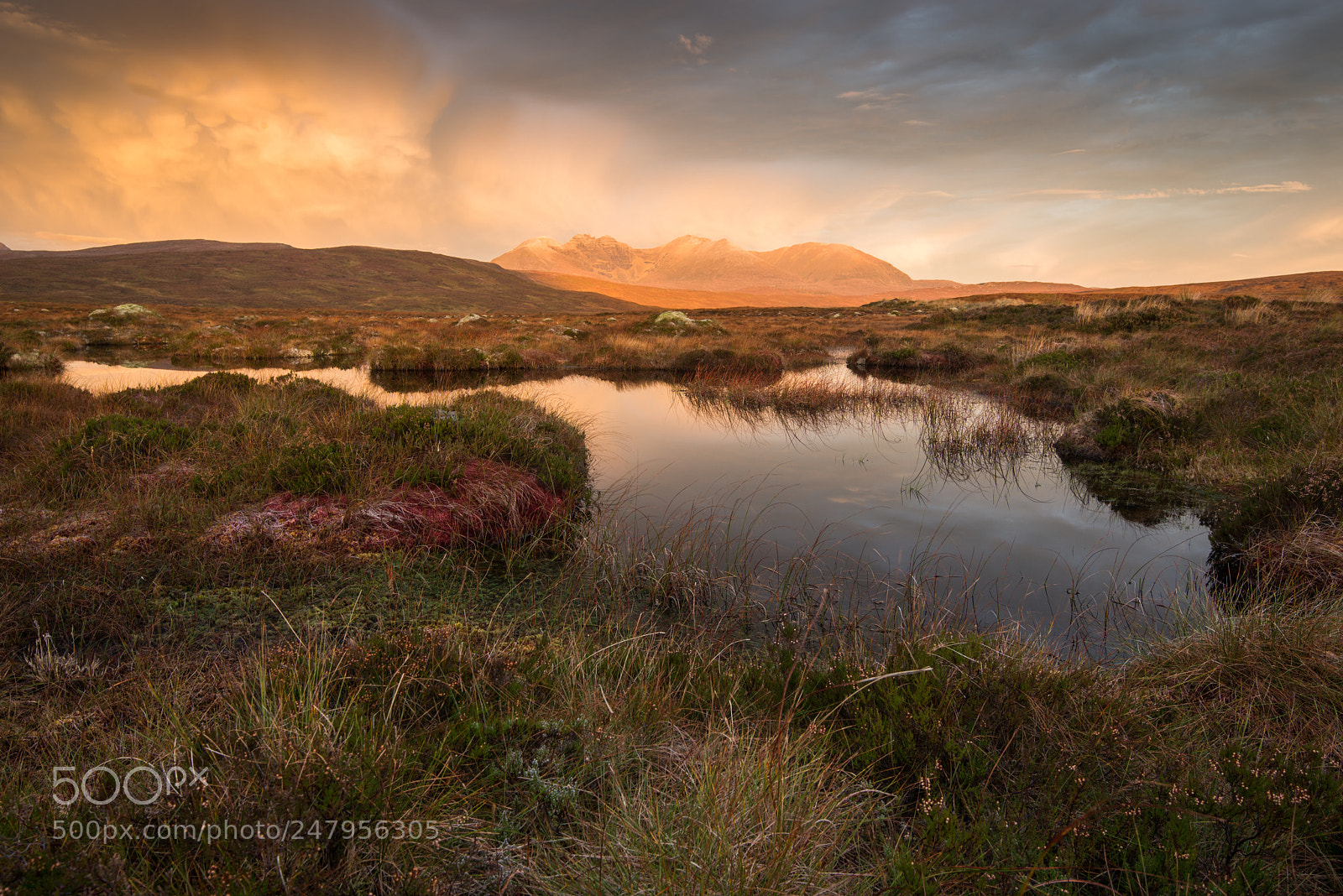 Nikon D800E sample photo. Wester ross photography