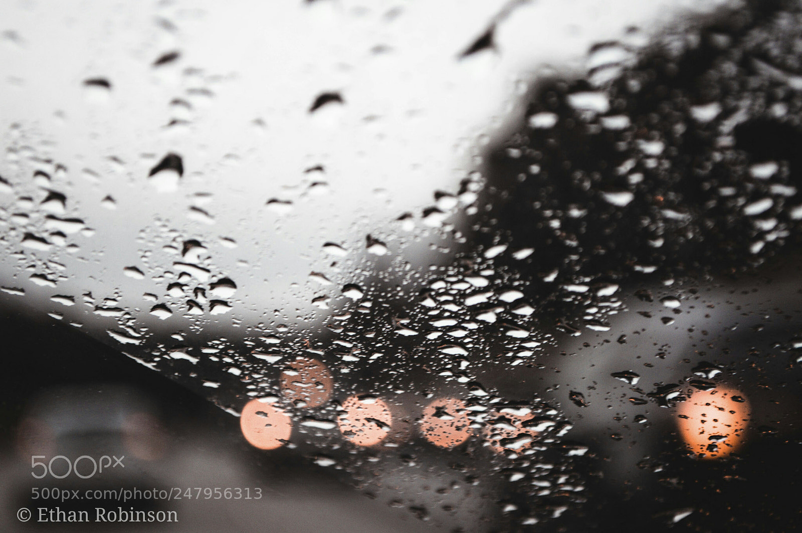 Nikon D3200 sample photo. Sonder photography
