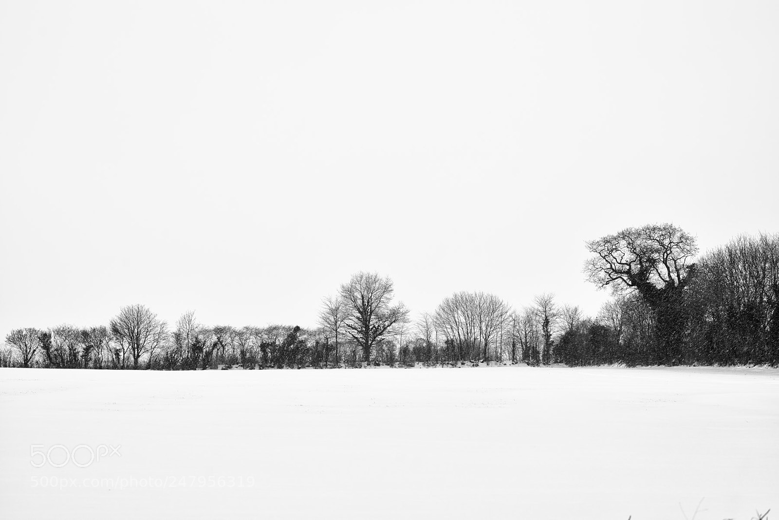 Nikon D800 sample photo. Winter snows photography