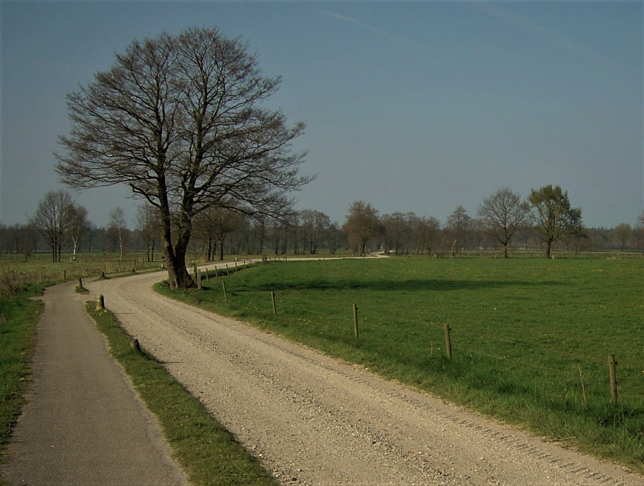 Sony DSC-P10 sample photo. Perspective... photography