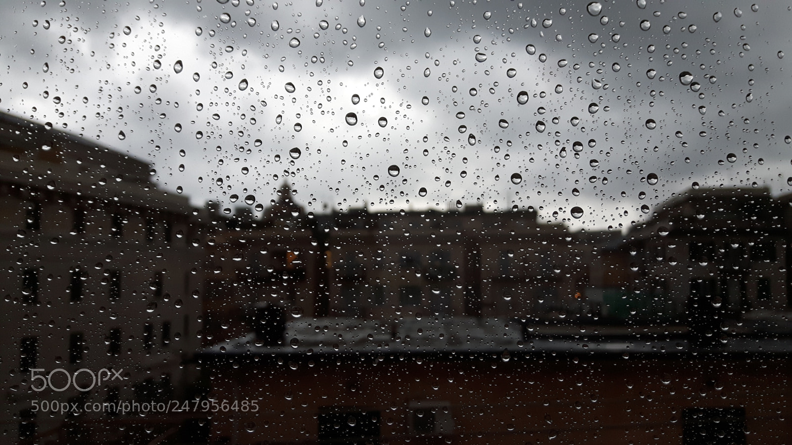 Samsung Galaxy S5 Neo sample photo. Rain and rain photography