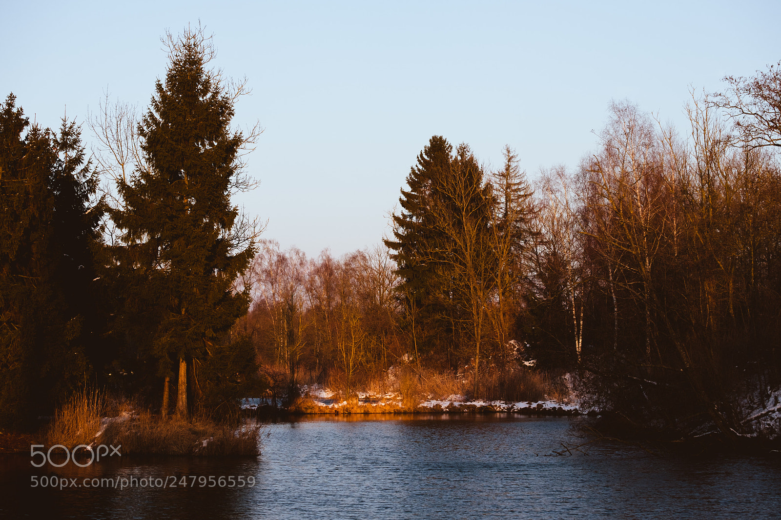 Fujifilm X-T2 sample photo. Donauried photography