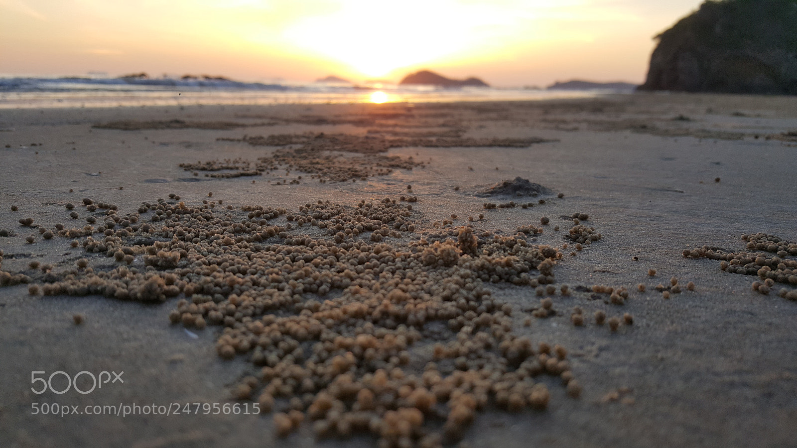 Samsung Galaxy Note5 sample photo. Untitled photography