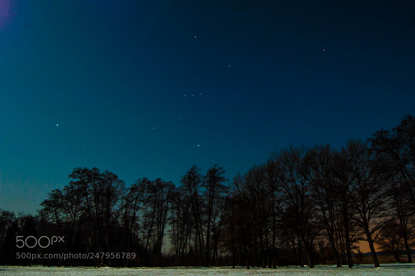 Nikon D70 sample photo. Stars in the sky photography