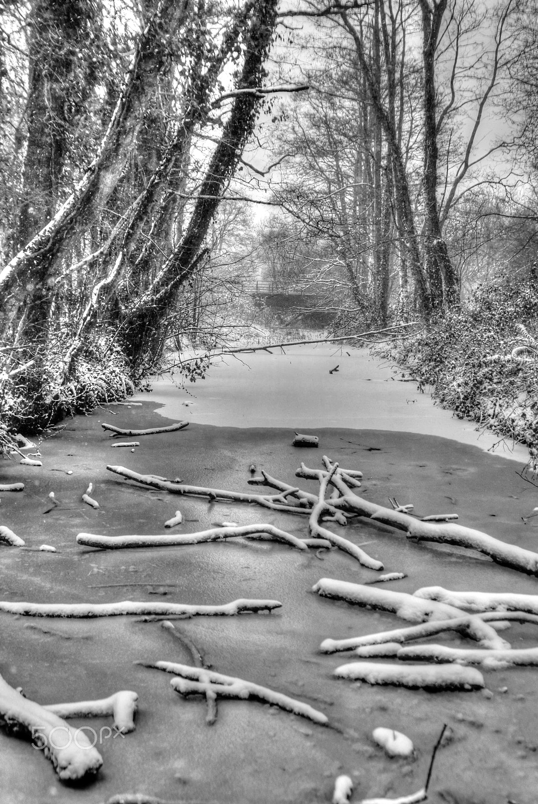 Nikon D7100 + Sigma 24-70mm F2.8 EX DG Macro sample photo. Snow photography