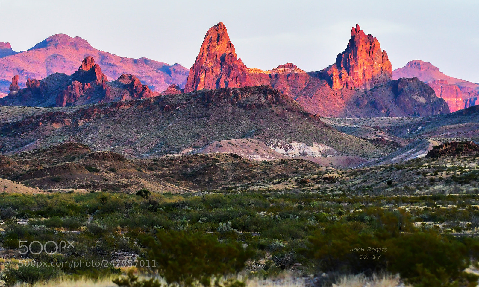 Nikon D500 sample photo. Crop photography
