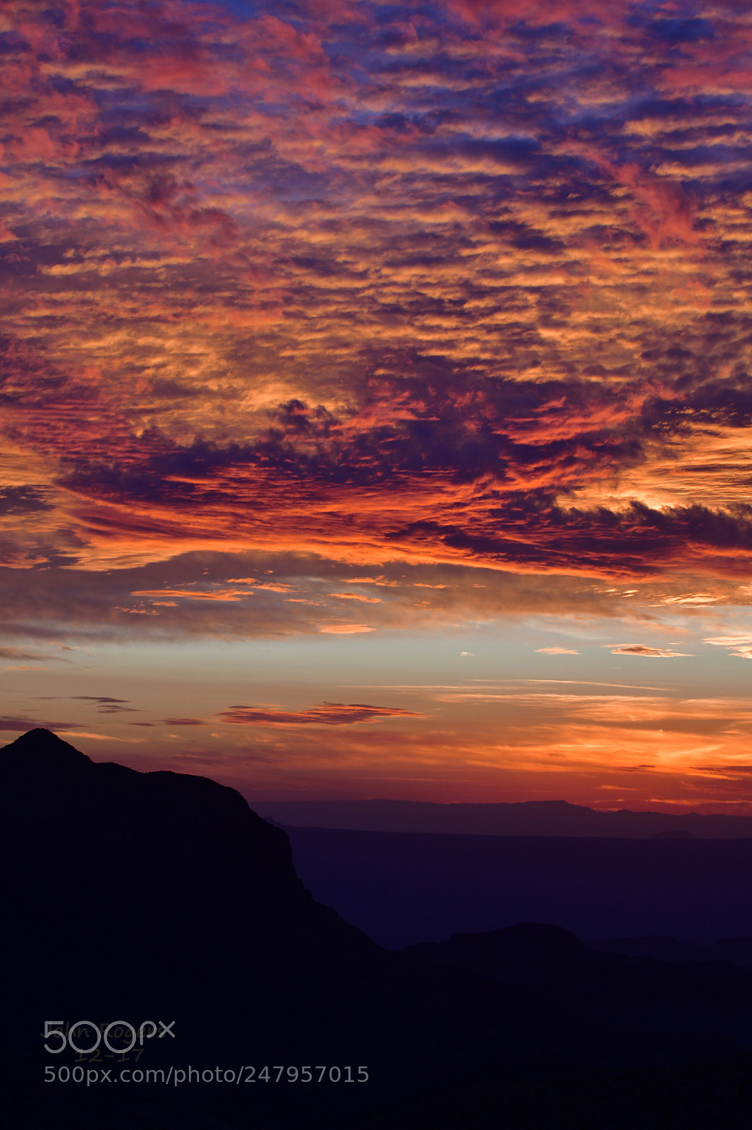 Nikon D500 sample photo. Crop photography