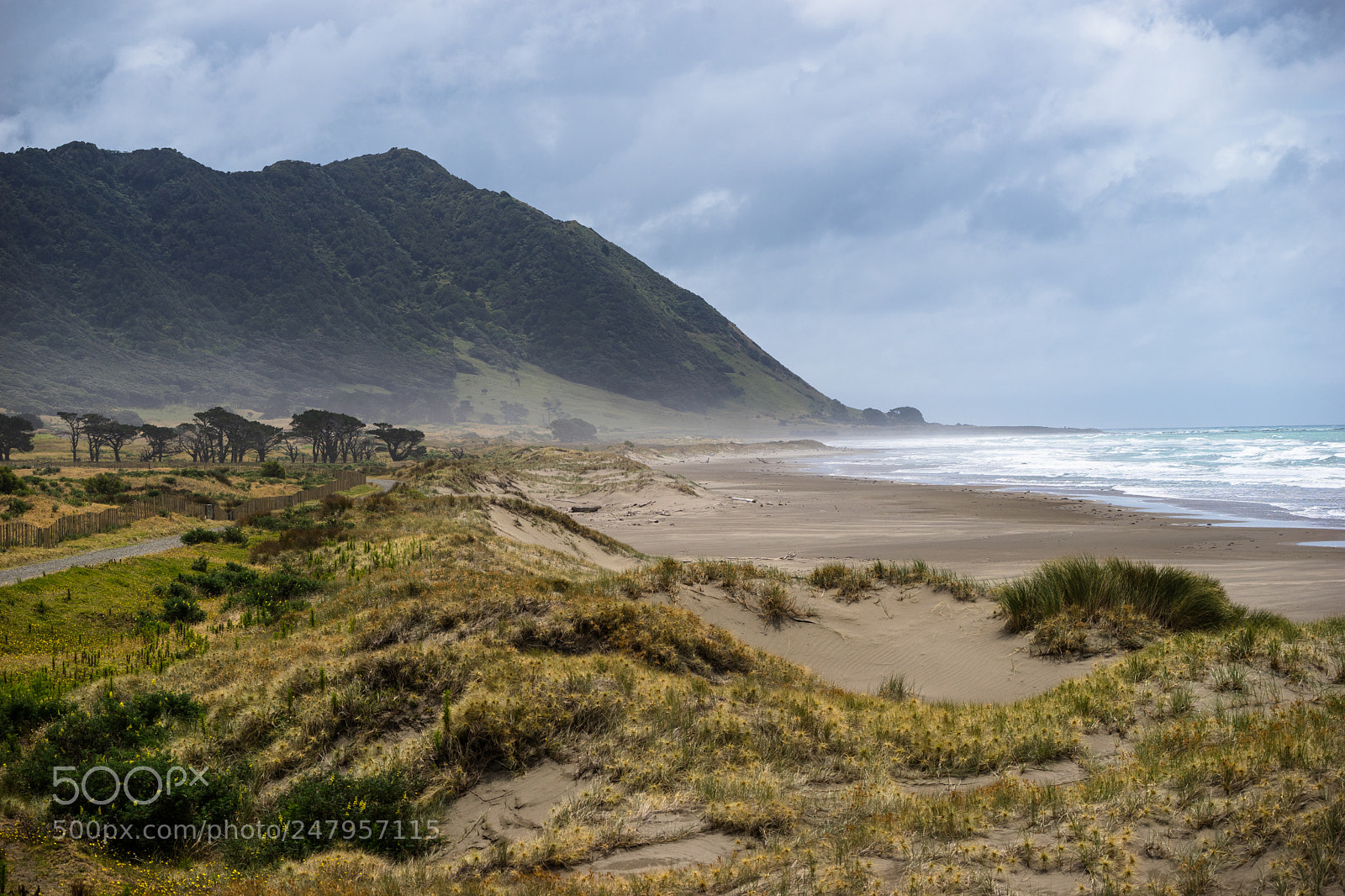 Sony a7 II sample photo. Beachside photography