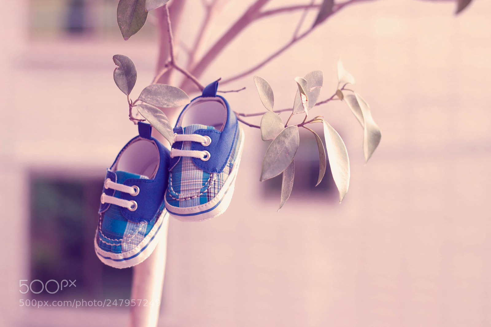 Canon EOS 600D (Rebel EOS T3i / EOS Kiss X5) sample photo. New born announcement photography