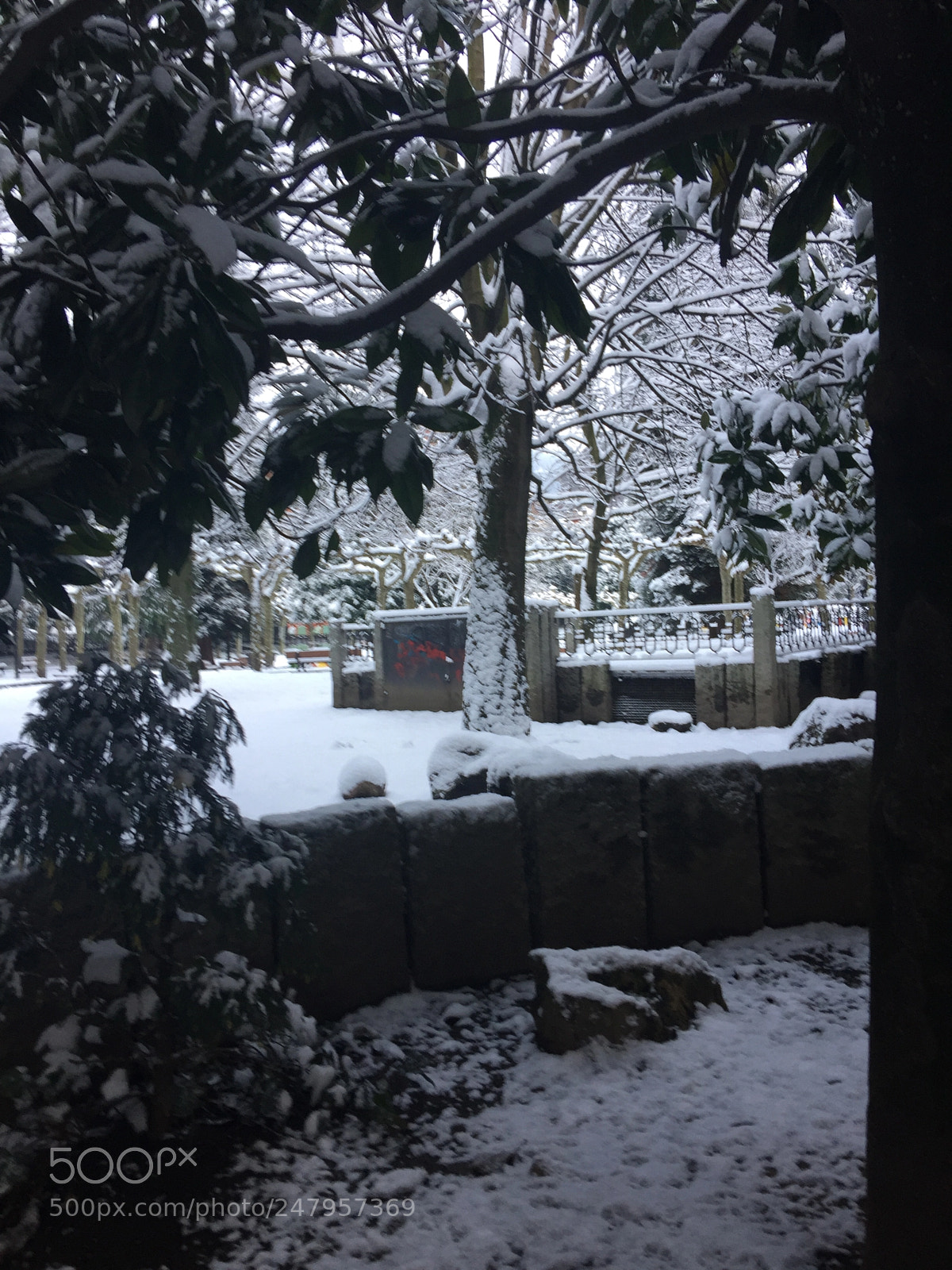 Apple iPhone 6 Plus sample photo. Invierno photography